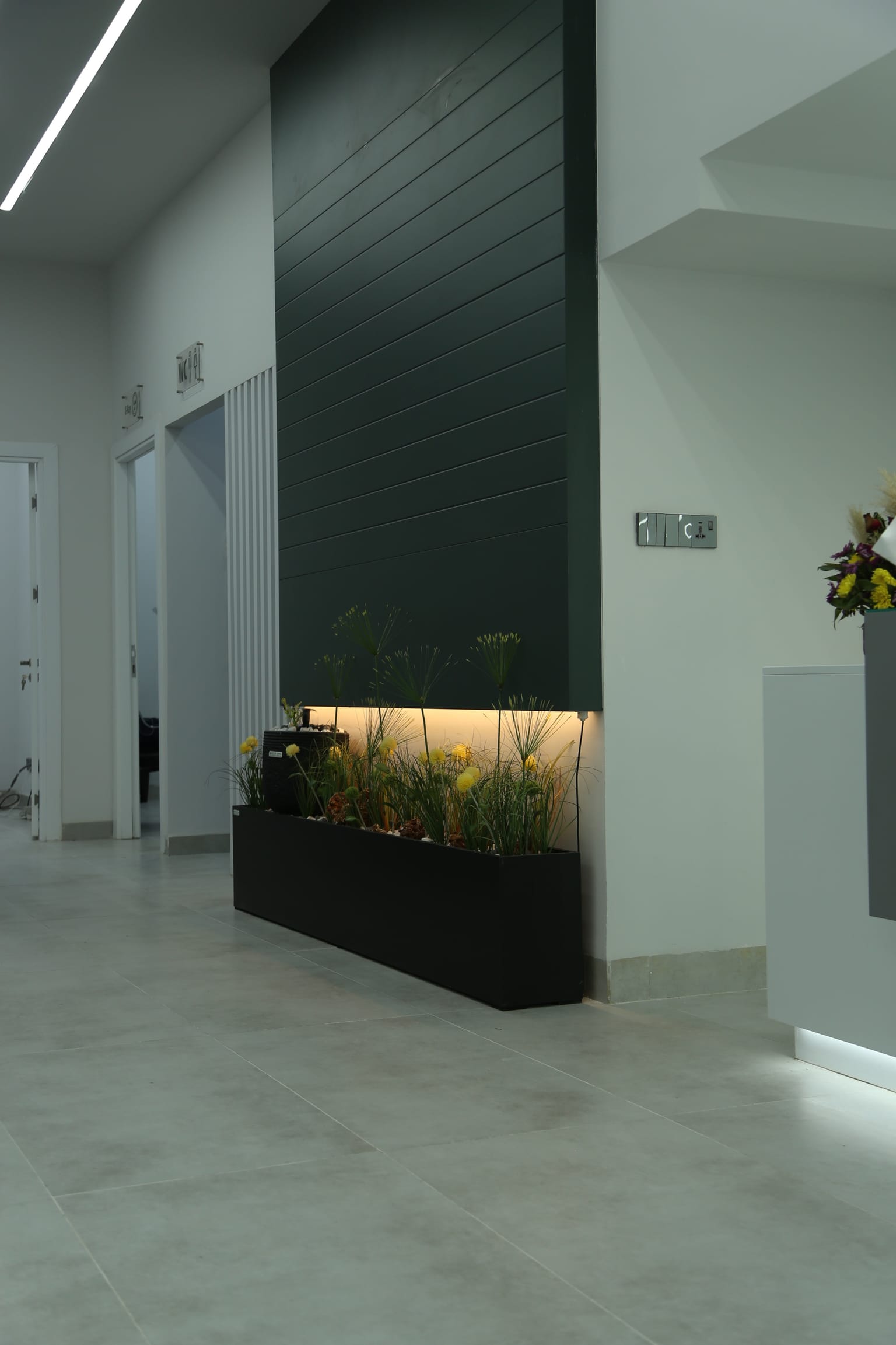 project image for Modern Dental Care