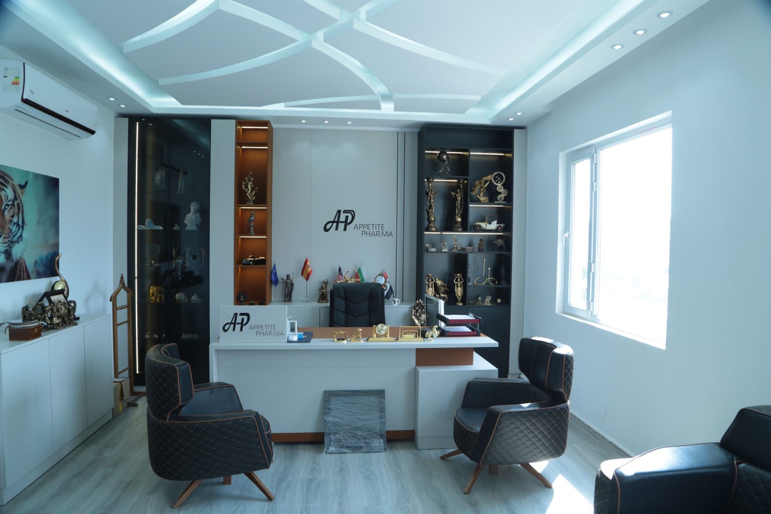 project image for Pharma Office